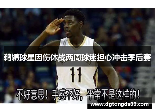鹈鹕球星因伤休战两周球迷担心冲击季后赛