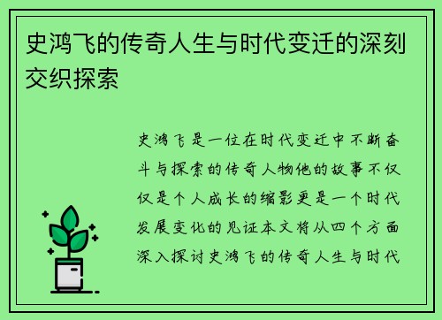 史鸿飞的传奇人生与时代变迁的深刻交织探索