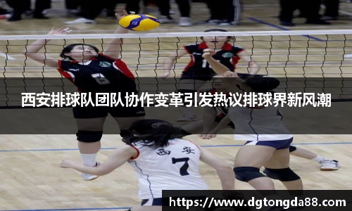西安排球队团队协作变革引发热议排球界新风潮
